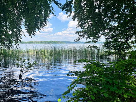 24-06-26 14-22-13 9939